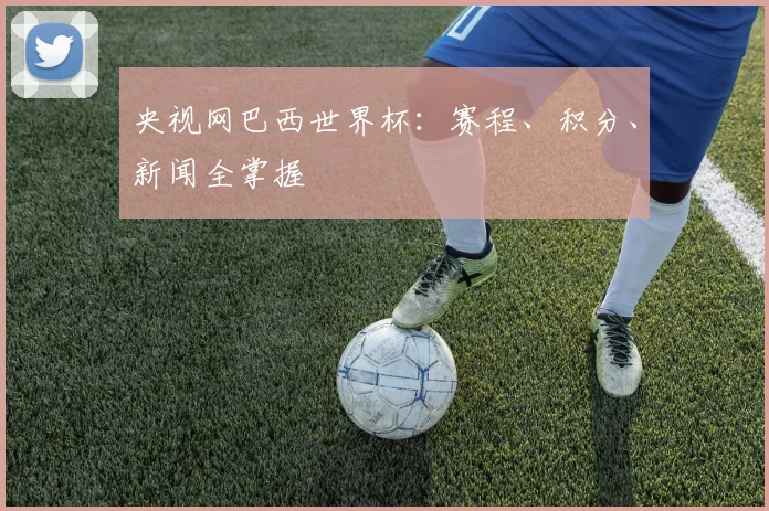 央视网巴西世界杯：赛程、积分、新闻全掌握