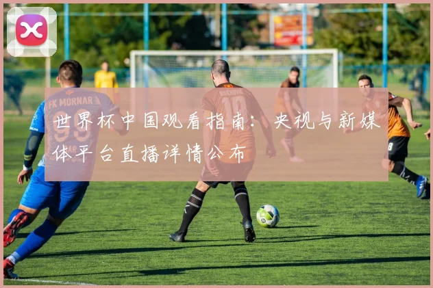 世界杯中国观看指南：央视与新媒体平台直播详情公布