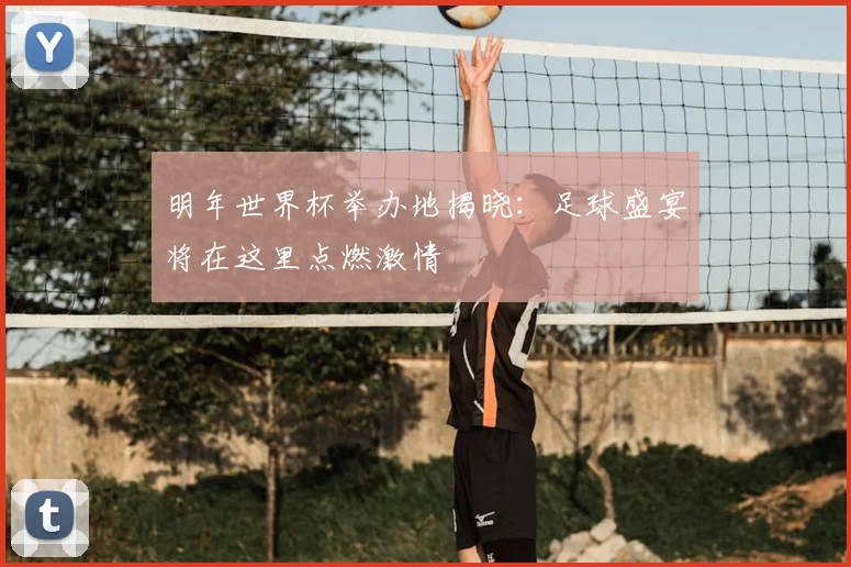 明年世界杯举办地揭晓：足球盛宴将在这里点燃激情