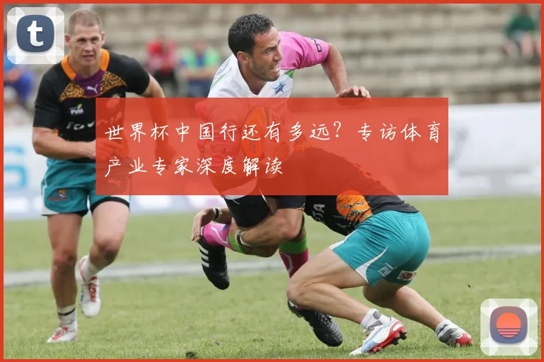 世界杯中国行还有多远？专访体育产业专家深度解读