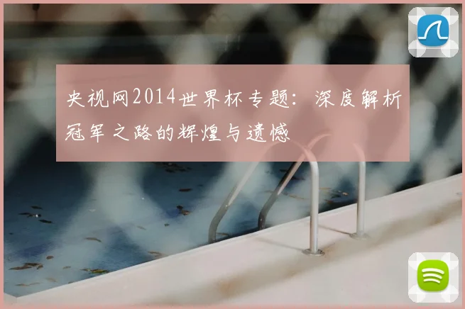 央视网2014世界杯专题：深度解析冠军之路的辉煌与遗憾