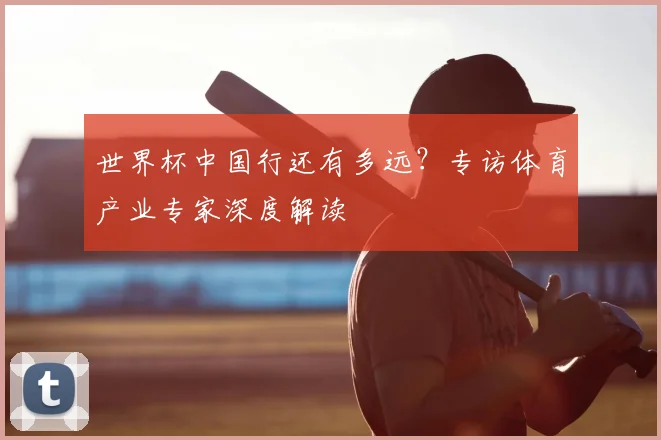 世界杯中国行还有多远？专访体育产业专家深度解读