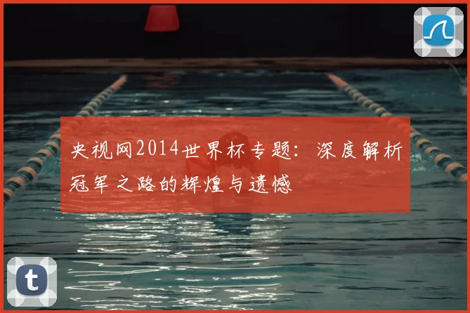 央视网2014世界杯专题：深度解析冠军之路的辉煌与遗憾